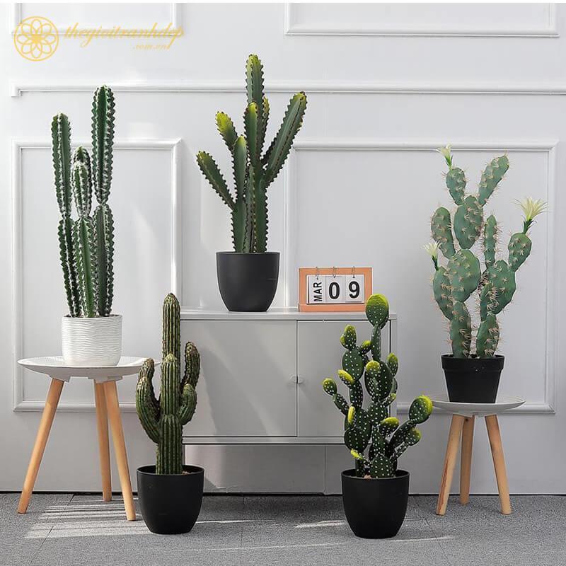 Top 5 cửa hàng cung cấp chậu cây giả đẹp nhất tại Đà Nẵng