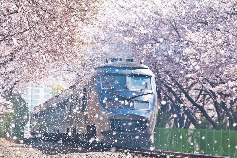 Khám phá 17 điểm đến không thể bỏ qua khi du lịch Hàn Quốc