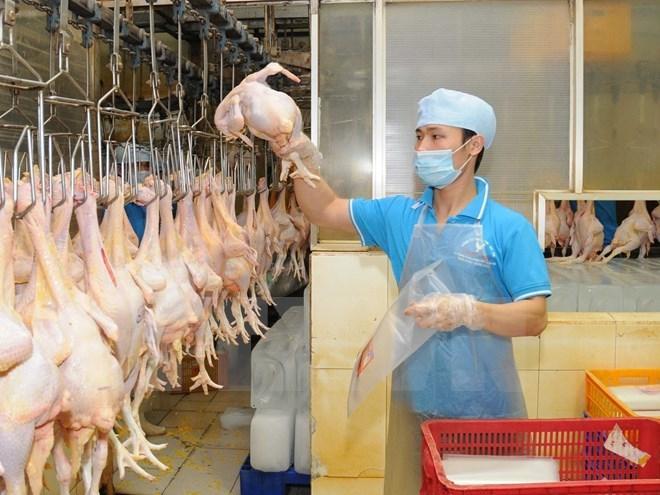 10 tỉnh, thành phố dẫn đầu về thu nhập bình quân đầu người tại Việt Nam