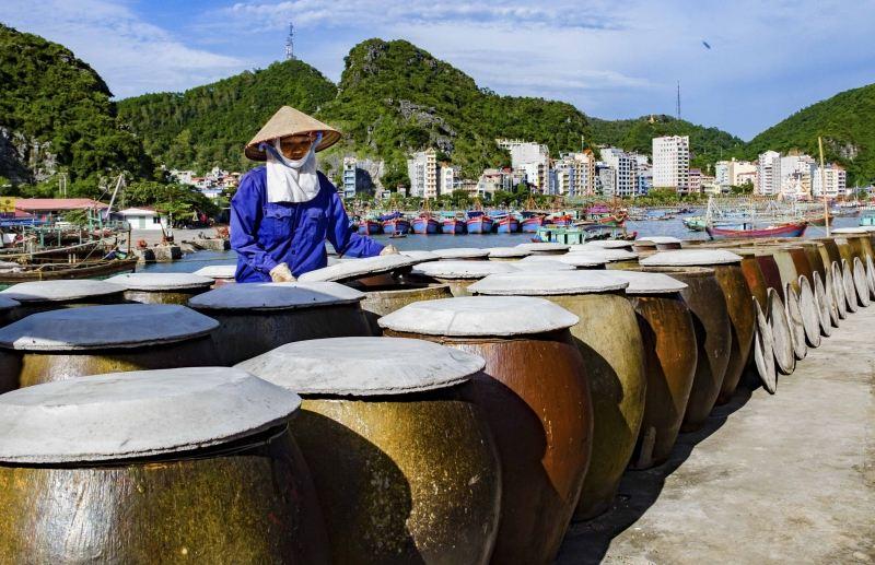 Top 5 Điều Quan Trọng Cần Biết Khi Mua Nước Mắm Cát Hải - Hải Phòng