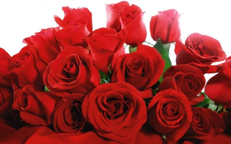 12 Sự Thật Thú Vị về Ngày Valentine