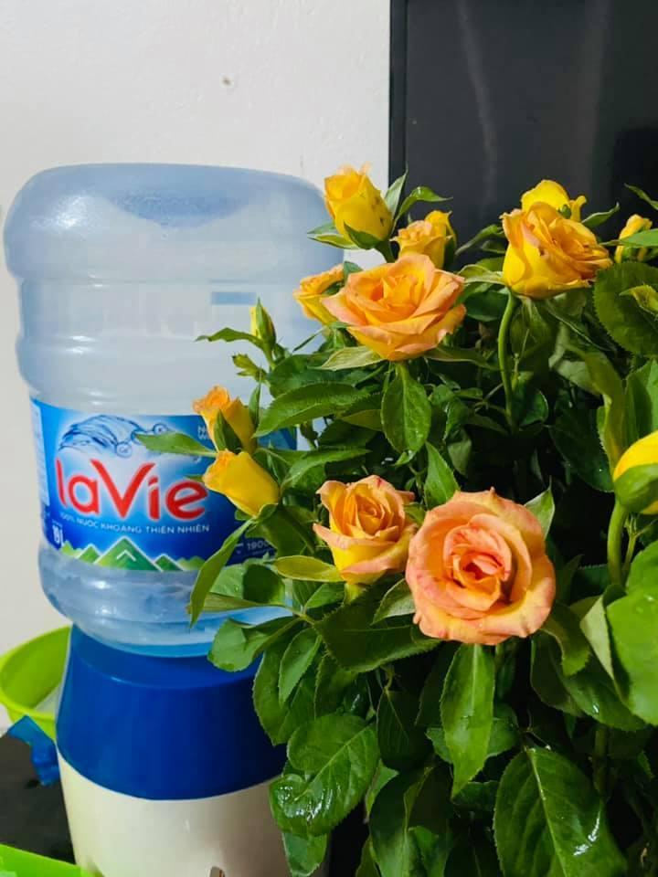 Top 3 dịch vụ giao nước uống tinh khiết đóng bình chất lượng tại tỉnh Thanh Hóa