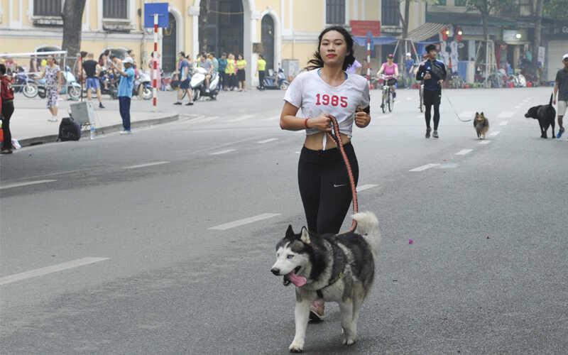 Có thể bạn sẽ không cần người yêu, nhưng một chú chó thì không thể thiếu. Hãy khám phá 10 lợi ích tuyệt vời khi nuôi chó.