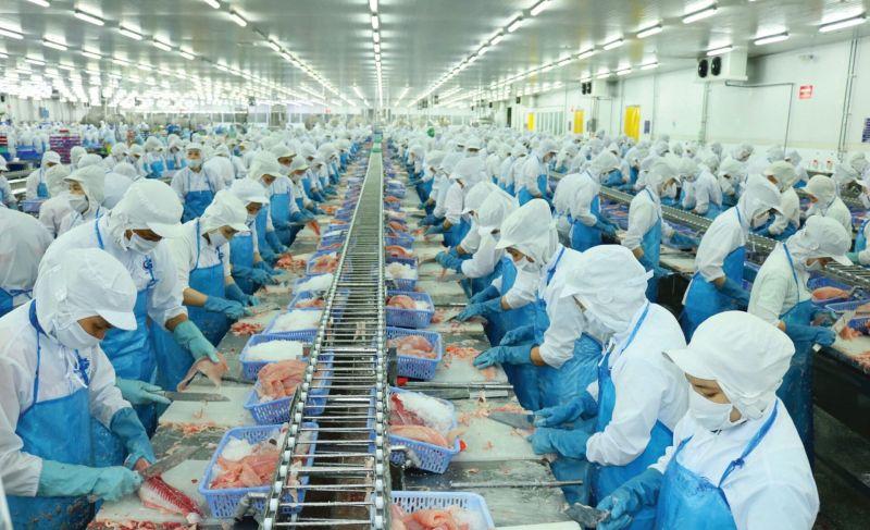 Top 6 công ty chế biến và xuất khẩu thủy sản hàng đầu tại Việt Nam