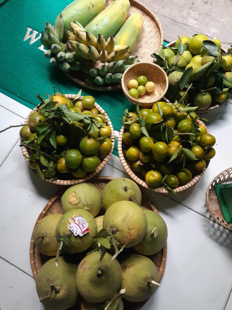 Top 8 cửa hàng cung cấp trái cây sạch và an toàn nhất tại Quận 7, TP. Hồ Chí Minh