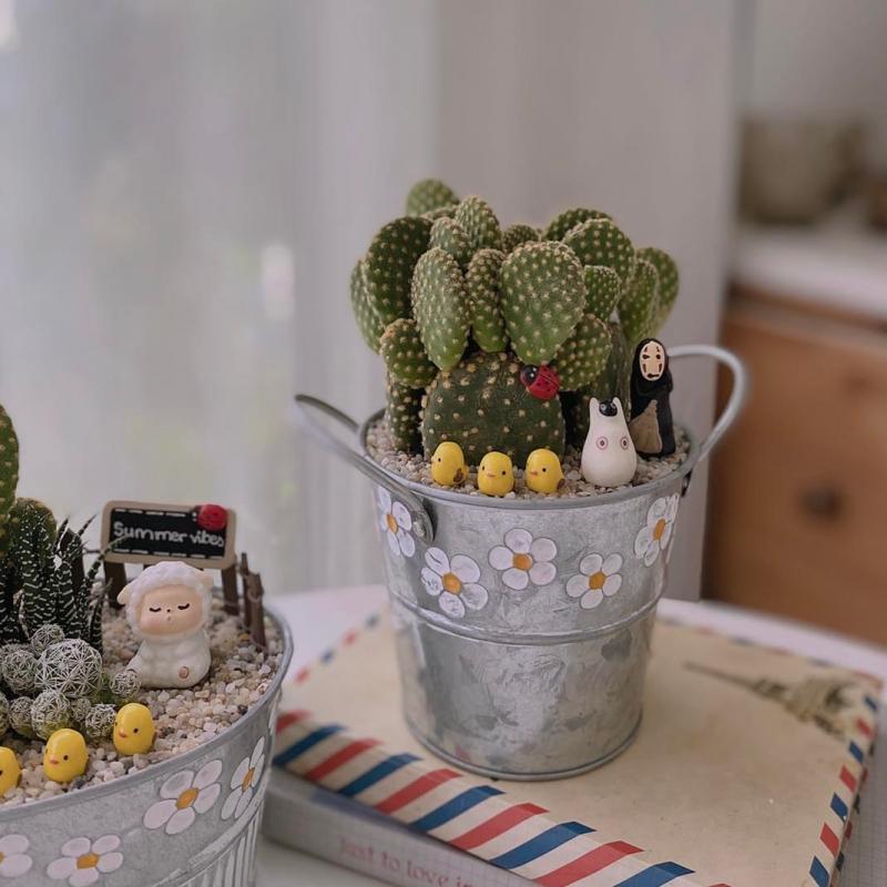 Top 10 địa chỉ bán xương rồng đẹp nhất tại TP. Huế, Thừa Thiên Huế