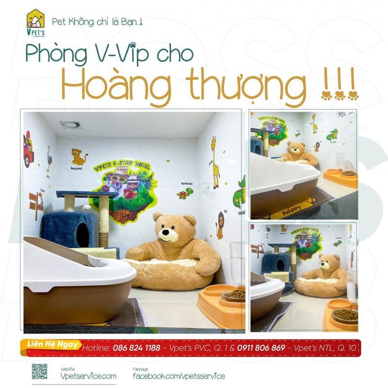 6 khách sạn thú cưng uy tín nhất tại Quận 1, TP.HCM