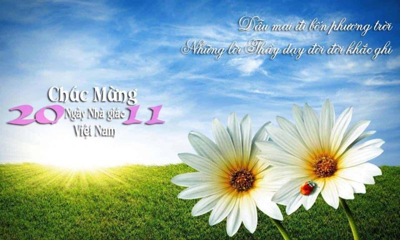 Top 15 lời tri ân sâu sắc và cảm động nhất dành cho thầy cô nhân ngày 20/11