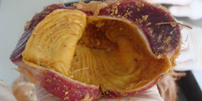 Mề gà có thực sự tốt cho sức khỏe không?
