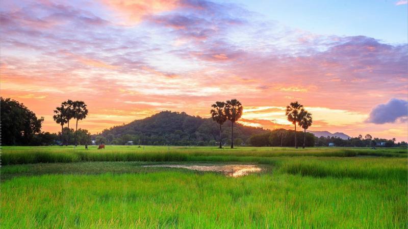 Top 11 bài thơ nổi bật nhất của nhà thơ Hồ Dzếnh