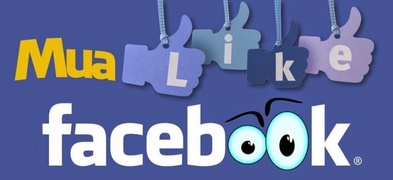 Top 7 Dịch vụ tăng sub, tăng like Facebook uy tín, giá tốt nhất hiện nay