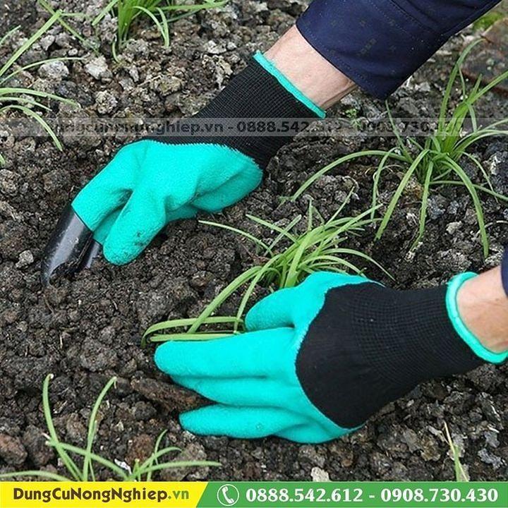 Top 7 địa chỉ cung cấp đất và dụng cụ làm vườn uy tín tại TP. HCM