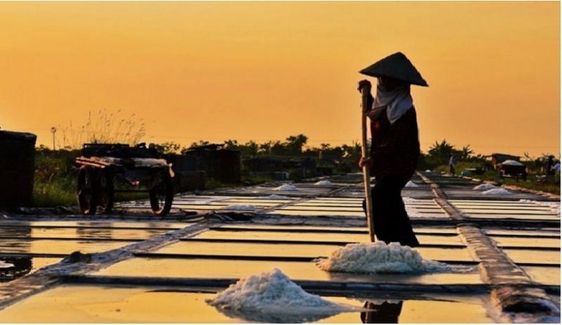 Top 10 cánh đồng muối tuyệt đẹp tại Việt Nam