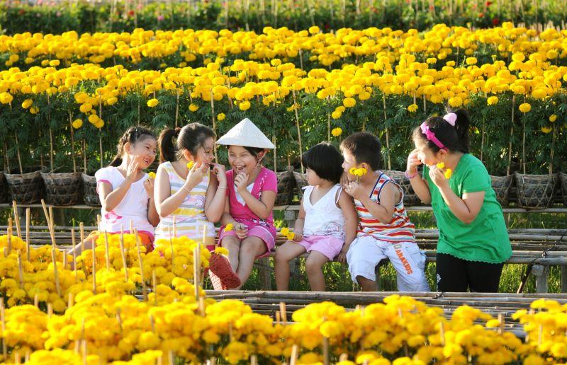 Top 10 bài văn mô tả cảnh chợ hoa ngày Tết tại quê hương em tuyệt vời nhất