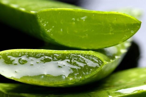 Top 10 công thức nước ép nha đam giúp làn da khỏe đẹp và tăng cường sức khỏe bạn nên thử
