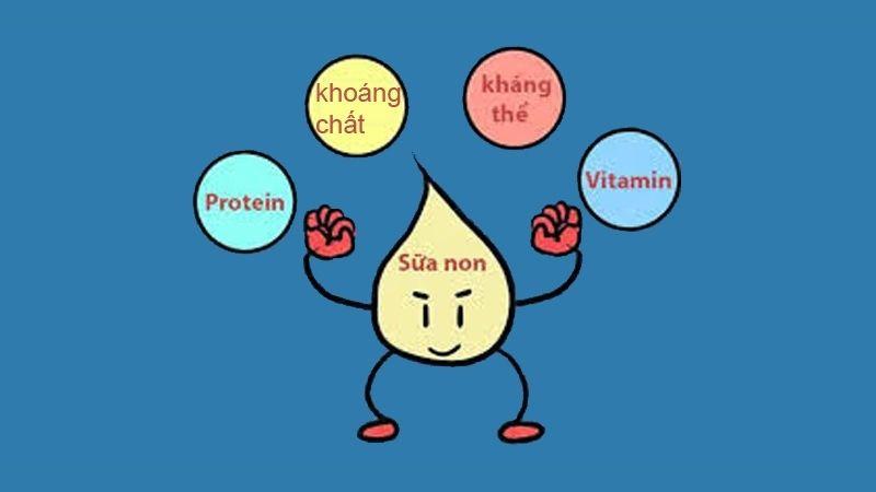 Sữa non là gì và những lợi ích nổi bật của nó