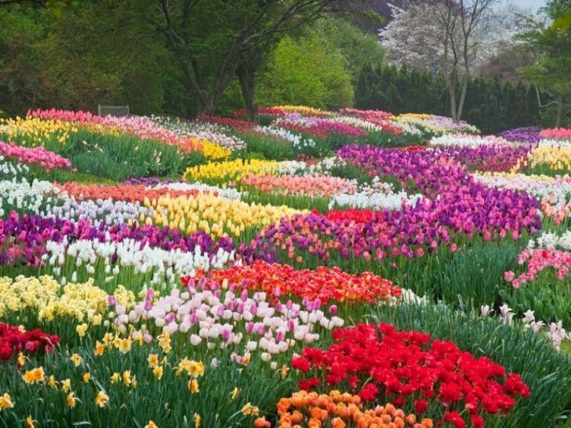 Top 15 điểm đến hấp dẫn nhất tỉnh Lâm Đồng