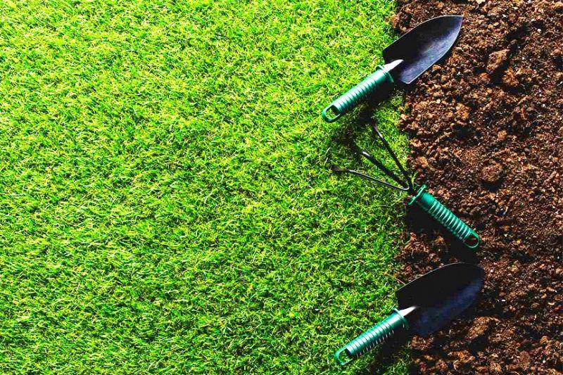 Top 6 dịch vụ chăm sóc cây xanh, cảnh quan chuyên nghiệp nhất tại Đà Nẵng