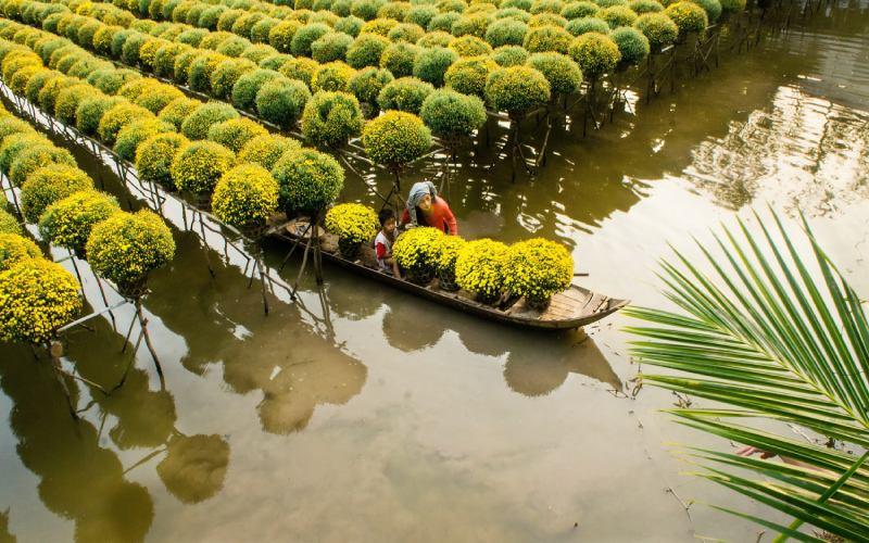 Khám Phá 10 Đặc Sản Sa Đéc: Những Món Ngon Phải Thử Khi Đến Với Vùng Đất Này