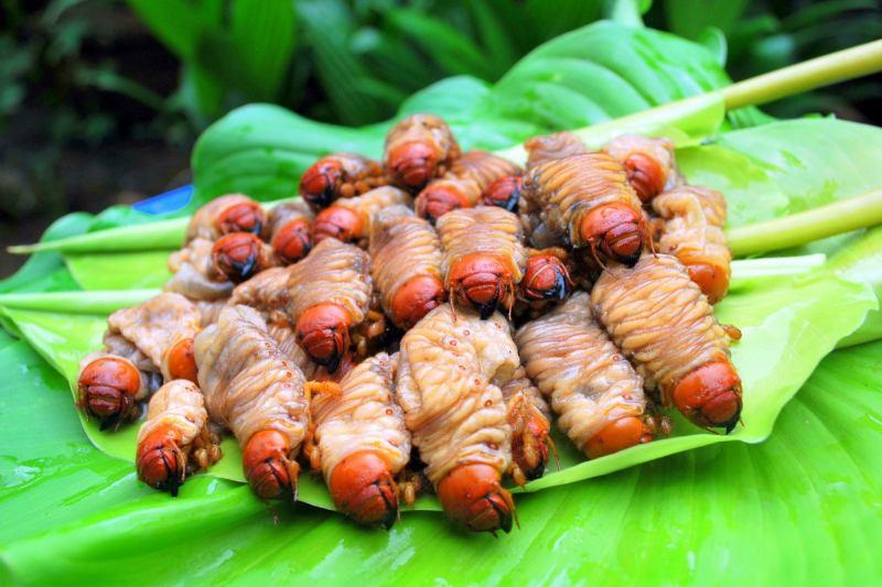 Top 15 Món Ăn Dân Dã Nổi Tiếng Miền Tây Nam Bộ
