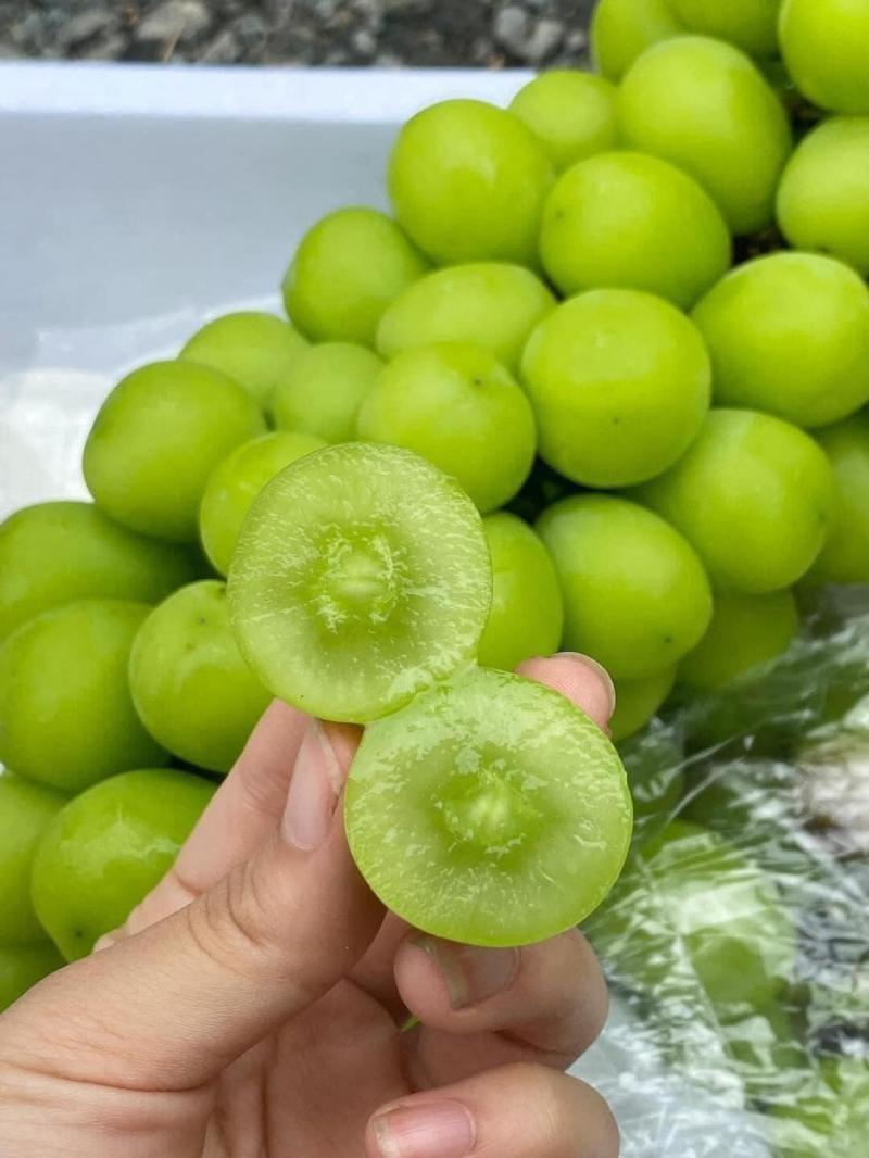 Top 4 cửa hàng thực phẩm sạch uy tín tại Bình Dương