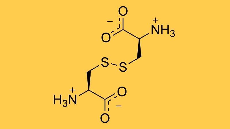 Cystine là gì? Những tác dụng của Cystine đối với sức khỏe