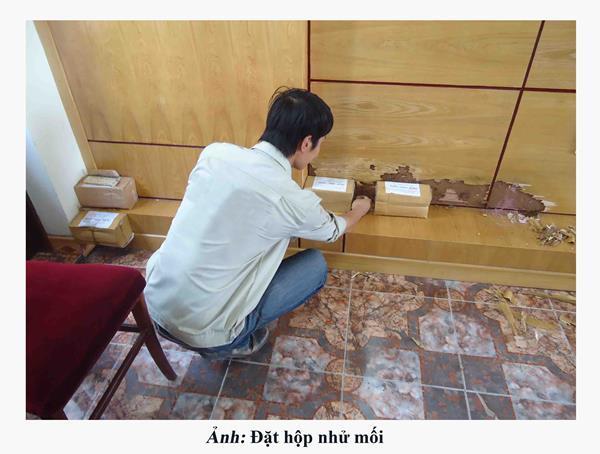 Top 3 Dịch Vụ Diệt Mối, Côn Trùng Uy Tín Nhất Tại Quảng Ngãi