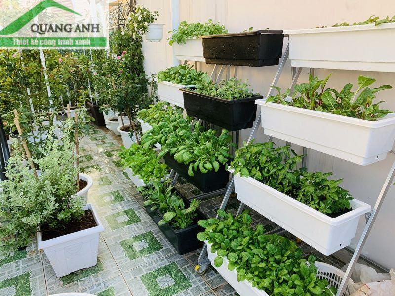 Top 10 địa chỉ uy tín bán đất sạch trồng rau tại TP.Hồ Chí Minh