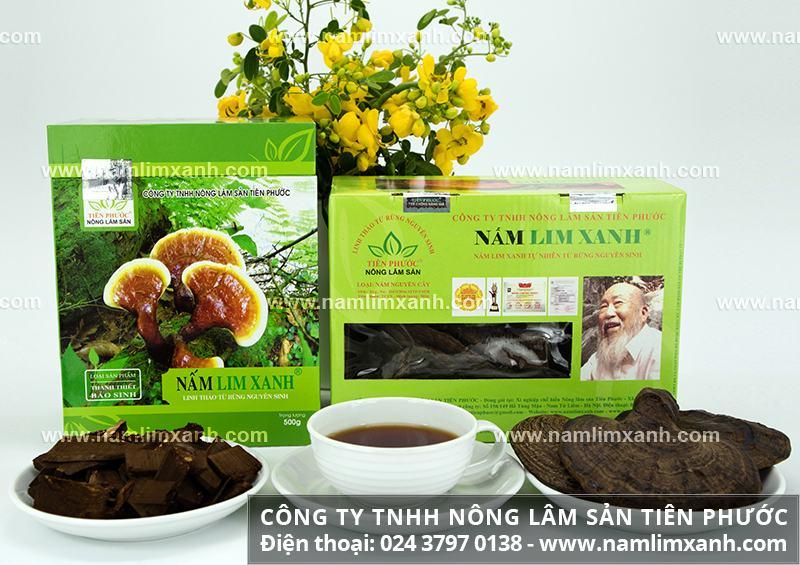 Top 3 địa chỉ uy tín bán nấm lim xanh chất lượng nhất tại Nghệ An