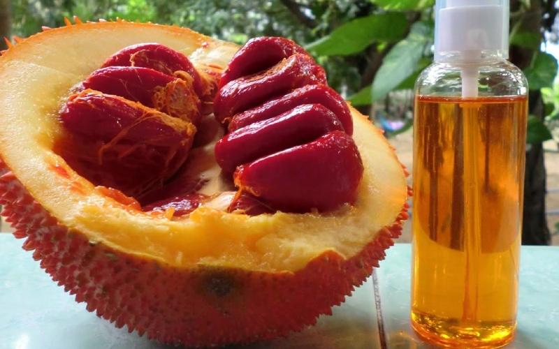 Cách sử dụng dầu gấc đúng chuẩn: Ai nên và không nên uống dầu gấc