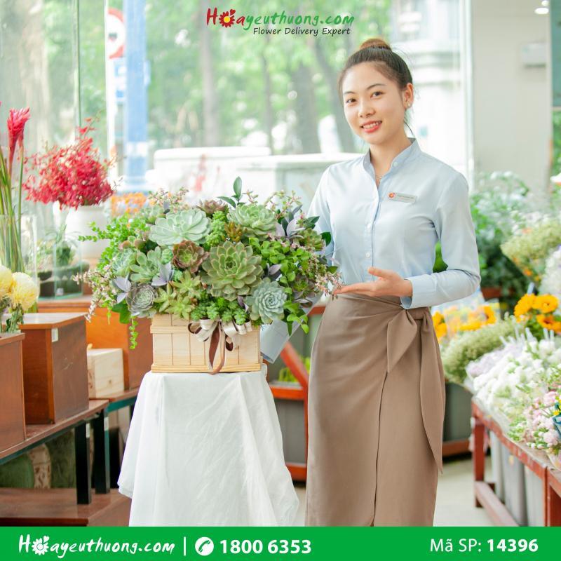 Top 8 địa chỉ mua giỏ hoa sen đá đẹp nhất tại TP.HCM