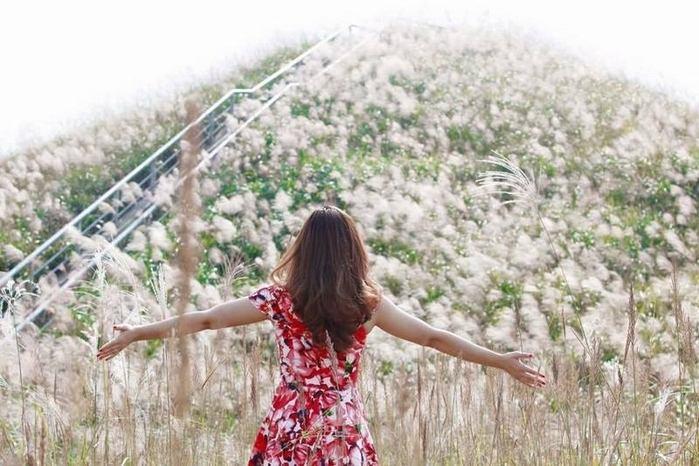 Top 10 địa điểm check-in nhất định phải ghé thăm khi du lịch Bình Liêu (Quảng Ninh)
