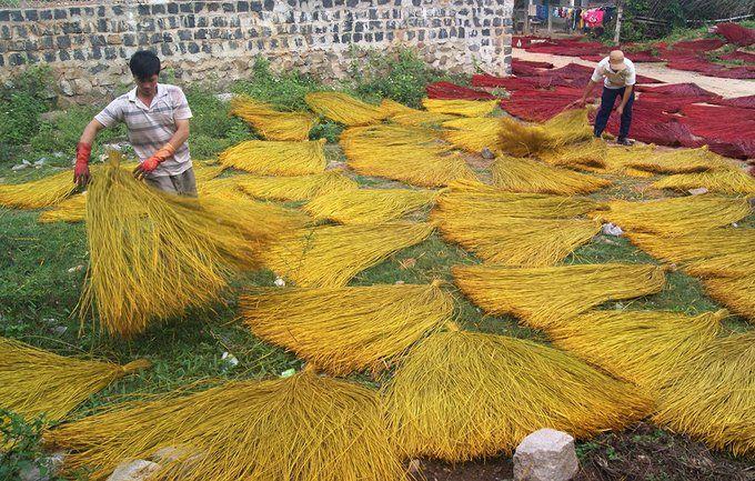 Top 8 Làng Nghề Dệt Chiếu Truyền Thống Danh Tiếng Việt Nam