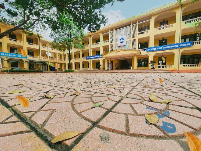 Top 10 bài thơ về hoa điệp vàng cảm động nhất