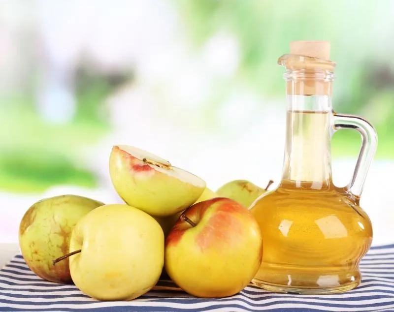Khám Phá 12 Loại Kháng Sinh Tự Nhiên Mạnh Mẽ Nhất Thế Giới
