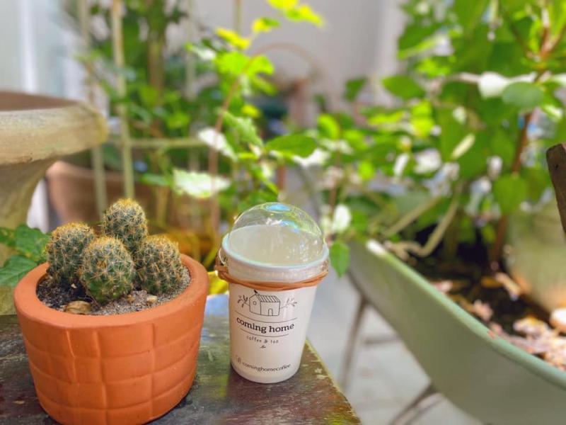 Top 10 quán trà sữa ngon tại Quận 8, TP. HCM