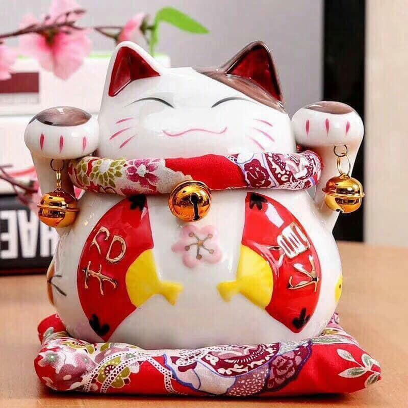 Top 3 Địa chỉ mua mèo thần tài chất lượng, uy tín tại Nghệ An
