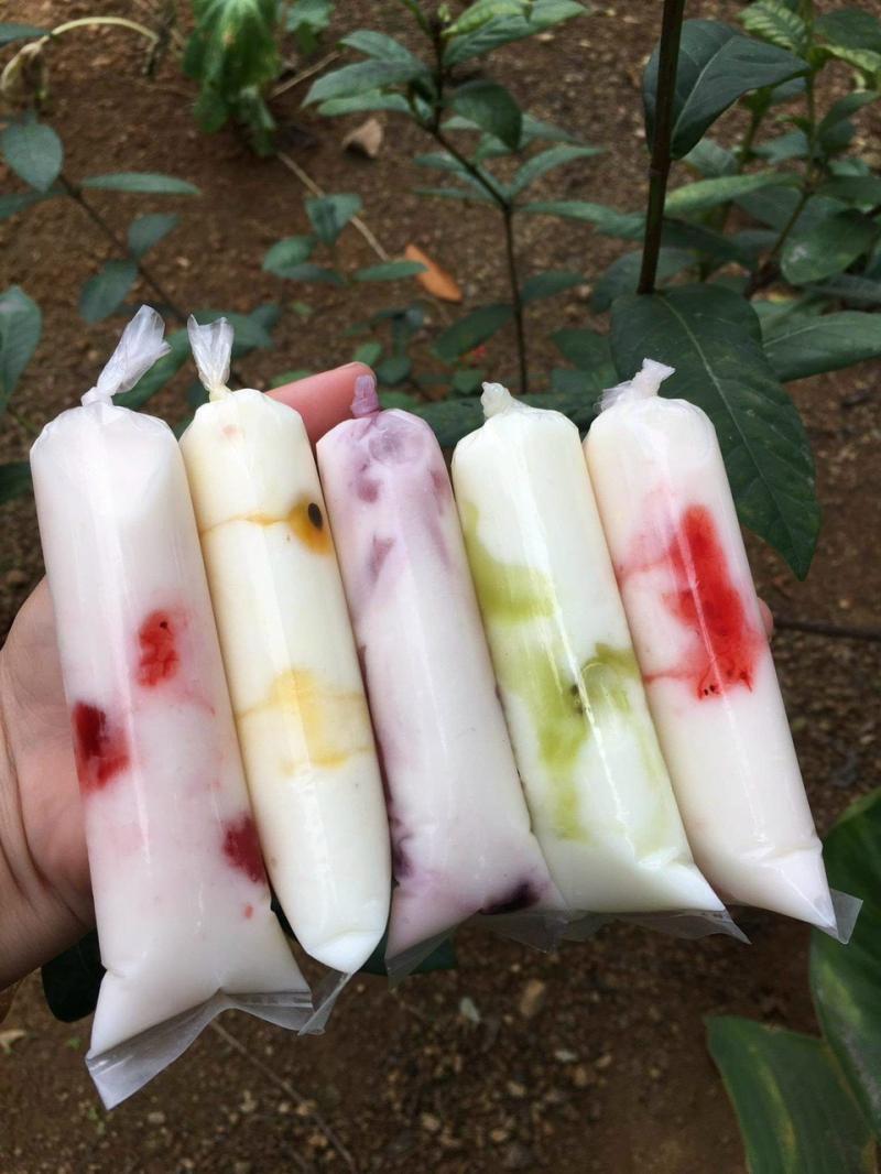 Top 5 địa chỉ bán sữa chua túi ngon nhất tại Hà Nội