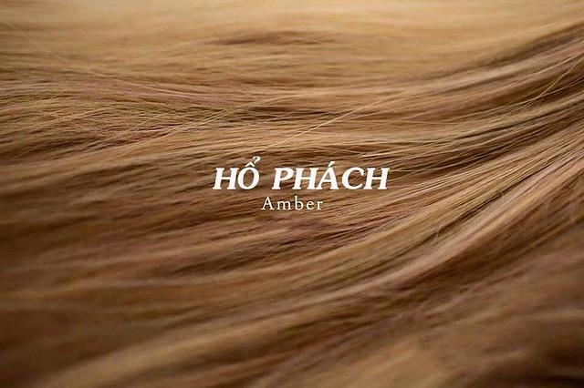 Top 10 Màu Tóc Hoàn Hảo Cho Mùa Thu Đông