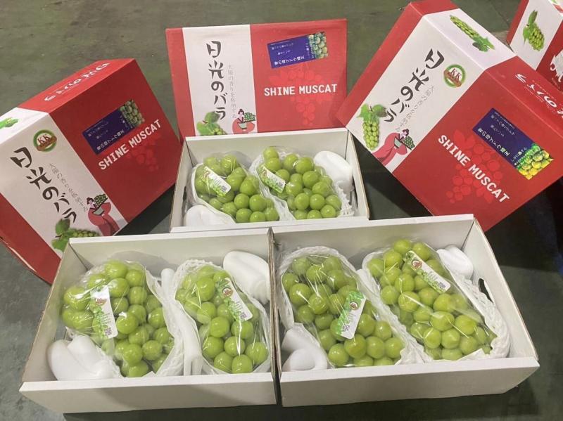 Khám phá 4 cửa hàng trái cây tươi sạch và an toàn hàng đầu tại tỉnh Hưng Yên