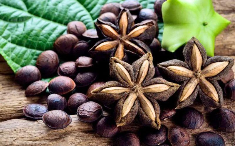 Dầu Sacha Inchi: 7 Công Dụng Tuyệt Vời Cho Sức Khỏe Của Bạn