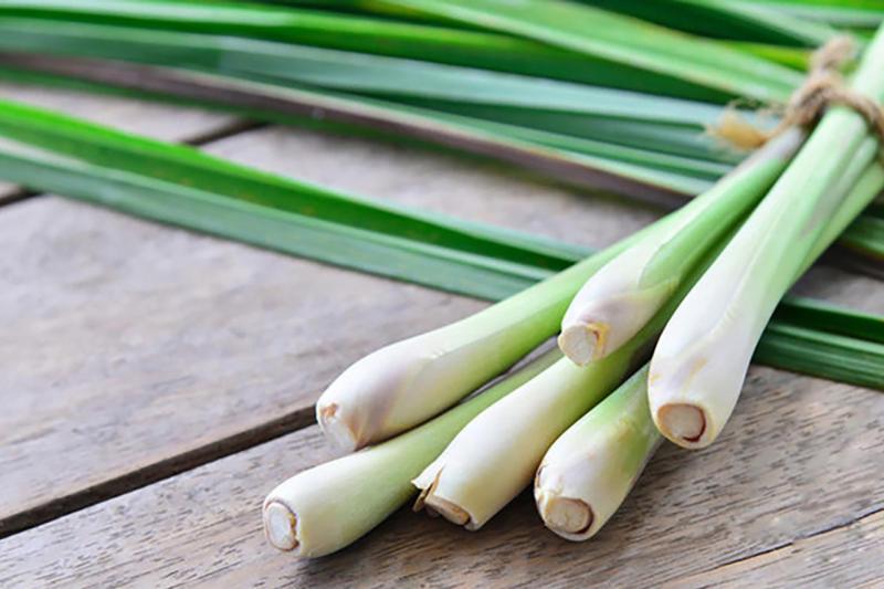 Top 13 Món Ngon Từ Thịt Trâu Và Cách Làm Đơn Giản Tại Nhà