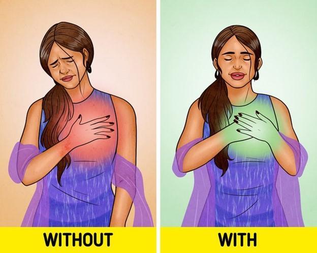 7 Loại hạt trái cây giúp nâng cao sức khỏe của bạn