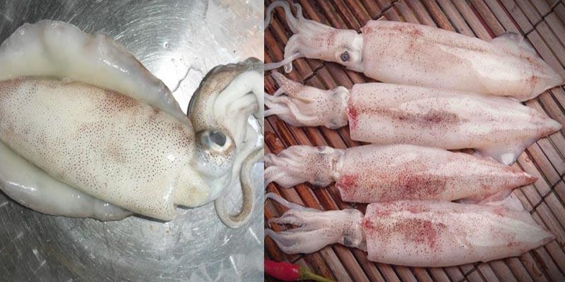 Mực lá hay mực ống? Loại nào sẽ tạo nên những món ăn thơm ngon nhất?