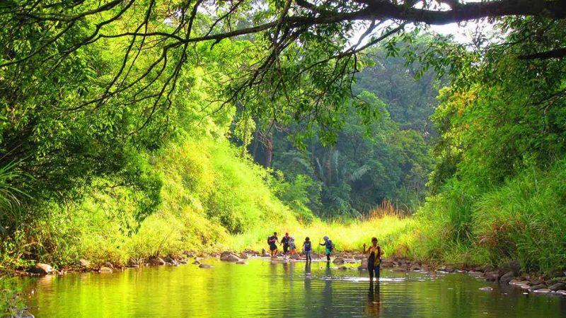 Khám phá Vườn Quốc gia Bù Gia Mập – điểm đến trekking lý tưởng không thể bỏ lỡ