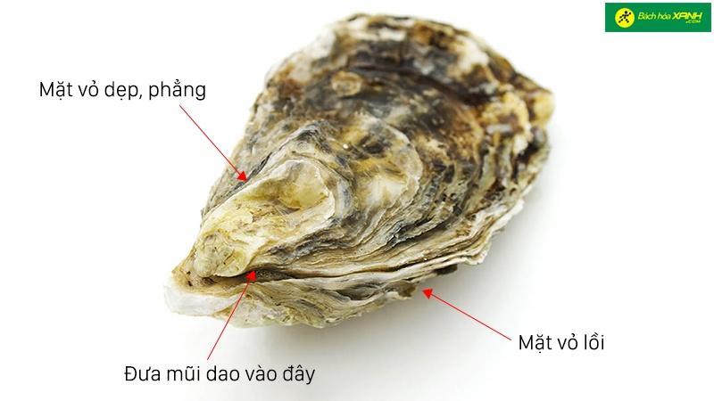 Bí quyết tách vỏ hàu nhanh, an toàn và dễ như trở bàn tay