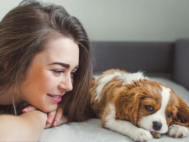 9 dấu hiệu bạn cần đưa thú cưng của mình đến bác sĩ thú y ngay lập tức