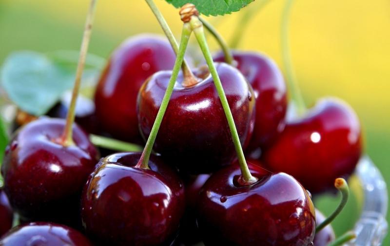 Top 10 loại trái cây tốt nhất cho bà bầu