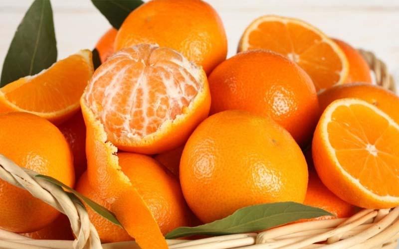 Bệnh nhân sốt xuất huyết nên ăn trái cây nào? 10 loại trái cây tốt cho người bị sốt xuất huyết