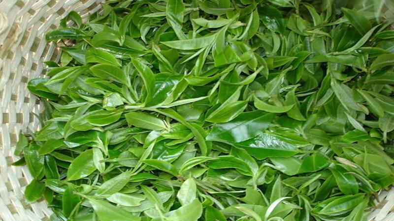 6 phương pháp hiệu quả giúp làm sạch ruột phích mà không làm ảnh hưởng đến khả năng giữ nhiệt